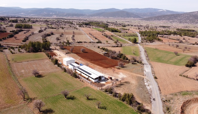 Denizli'de kadın girişimci devlet desteğiyle hayal ettiği çiftliği kurdu