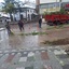 Sandıklı'da kar ağırlığına dayanamayan ağaçlar devrildi